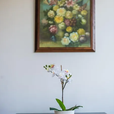Апартаменты Comfort Apartments Na Wzgorzu Гдыня